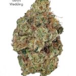 7GRAMS $25 - GARYS WEDDING - AAA