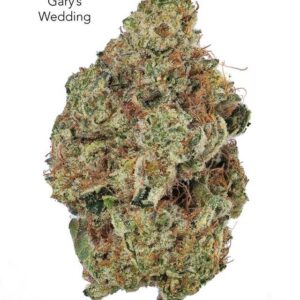 7GRAMS $25 - GARYS WEDDING - AAA