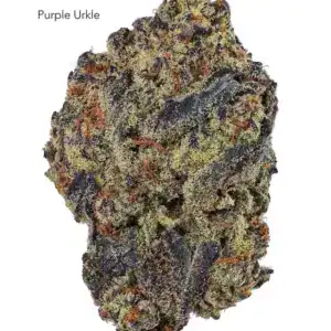 7GRAMS $25 - PURPLE URKLE - AAA
