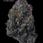 TERPY VIBES - CANDY DEATH - AAAAA+