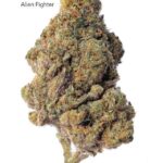 1 OUNCE $60 - 2 OUNCES $100 - ALIEN FIGHTER - AA