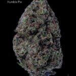 7GRAMS $25 - HUMBLE PIE - AAA