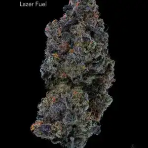 PACIFIC BUD BOYS - LAZER FUEL - AAAAA