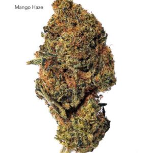 1 OUNCE $60 - 2 OUNCES $100 - MANGO HAZE - AA