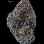 7GRAMS $25 - NEGRONI - AAA