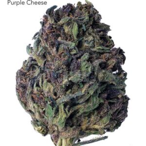 1 OUNCE $40 - PURPLE CHEESE - A+