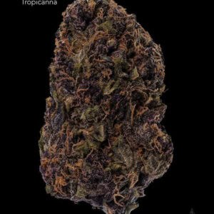 1 OUNCE $75 - 2 OUNCES $125 - TROPICANA - AA+