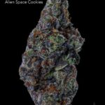 ALIEN SPACE COOKIES - AAA+