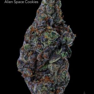 ALIEN SPACE COOKIES - AAA+