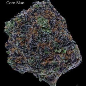 COTE BLUE - AAA+