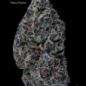 PETROL POTION - AAA+