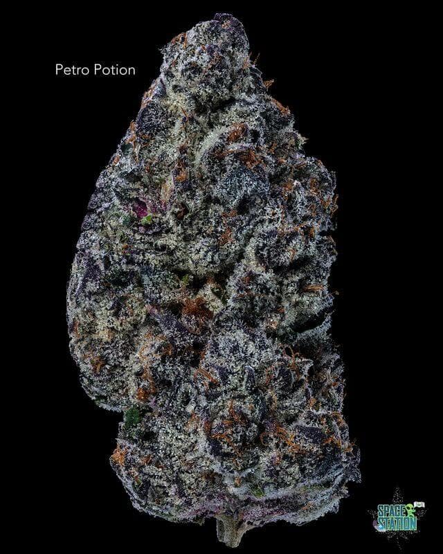 PETROL POTION - AAA+