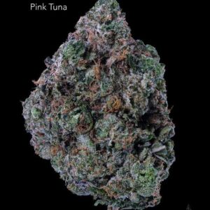 SUNSHINE COAST - PINK TUNA