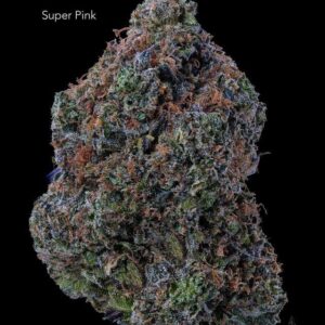 BEAUTIFUL BC FLOWERS - SUPER PINK