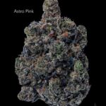 TERPY VIBES - ASTRO PINK - AAAAA+