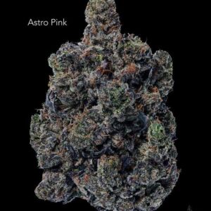 TERPY VIBES - ASTRO PINK - AAAAA+