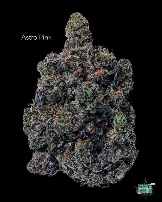 TERPY VIBES - ASTRO PINK - AAAAA+