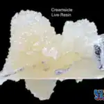 BALLER JARS - FSE - CREAMSICLE (5GRAMS)