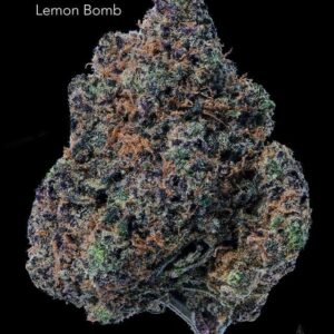 SUNSHINE COAST - LEMON BOMB - AAA+