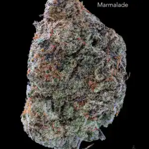 7GRAMS $25 - MARMALADE - AAA