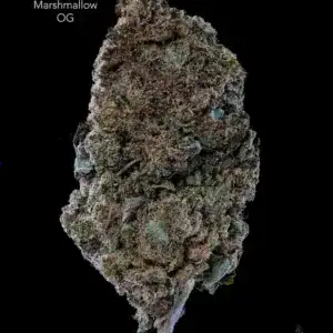 1 OUNCE $60 - 2 OUNCES $100 - MARSHMALLOW OG - AA