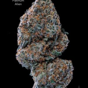 1 OUNCE $75 - 2 OUNCES $125 - PLATINUM ALIEN - AA+