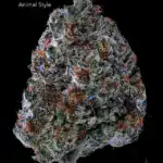 7GRAMS $25 - ANIMAL STYLE - AAA