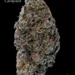 7GRAMS $25 - CANDYLAND - AAA