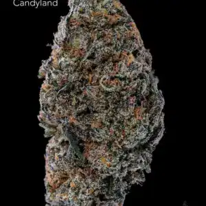 7GRAMS $25 - CANDYLAND - AAA
