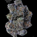 7GRAMS $25 - PERMANENT MARKER - AAA