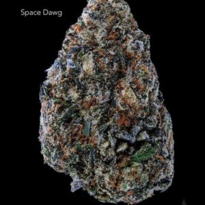 7GRAMS $25 - SPACE DAWG - AAA