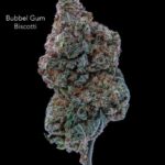 7GRAMS $25 - BUBBLEGUM BISCOTTI - AAA