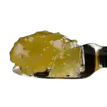 CE - FSE - BISCOTTI (1G)