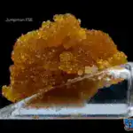 BALLER JARS - FSE - JUMPMAN (5GRAMS)