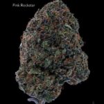 7GRAMS $25 - PINK ROCKSTAR - AAA