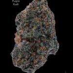 1 OUNCE $100 - PURPLE KUSH - AAAA