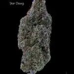 7GRAMS $25 - STARDAWG - AAA