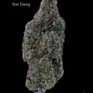 7GRAMS $25 - STARDAWG - AAA