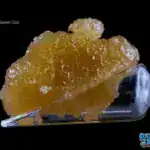 BALLER JARS - FSE - SWEET GAS (5GRAMS)