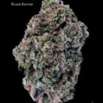 1 OUNCE $60 - 2 OUNCES $100 - BRUCE BANNER - AA