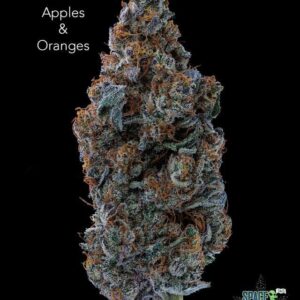 CE - APPLES & ORANGES - AAAA