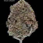 1 OUNCE $60 - 2 OUNCES $100 - BLUE DREAM - AA