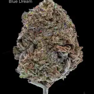 1 OUNCE $60 - 2 OUNCES $100 - BLUE DREAM - AA