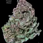 1 OUNCE $60 - 2 OUNCES $100 - FROSTED WIDOW - AA