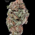 1 OUNCE $60 - 2 OUNCES $100 - GALACTIC KUSH - AA