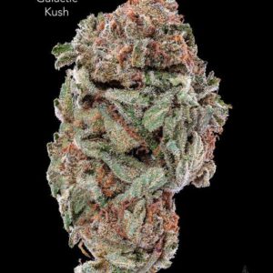 1 OUNCE $60 - 2 OUNCES $100 - GALACTIC KUSH - AA