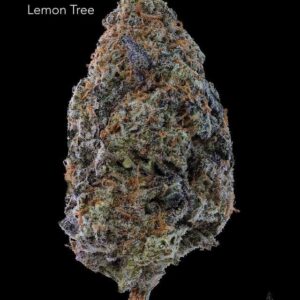 7GRAMS $25 - LEMON TREE - AAA