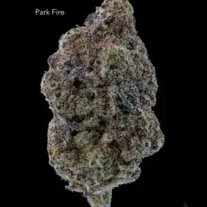7GRAMS $25 - PARKFIRE OG - AAA
