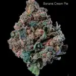 1 OUNCE $75 - 2 OUNCES $125 - BANANA CREAM PIE - AA