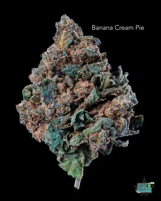 1 OUNCE $75 - 2 OUNCES $125 - BANANA CREAM PIE - AA